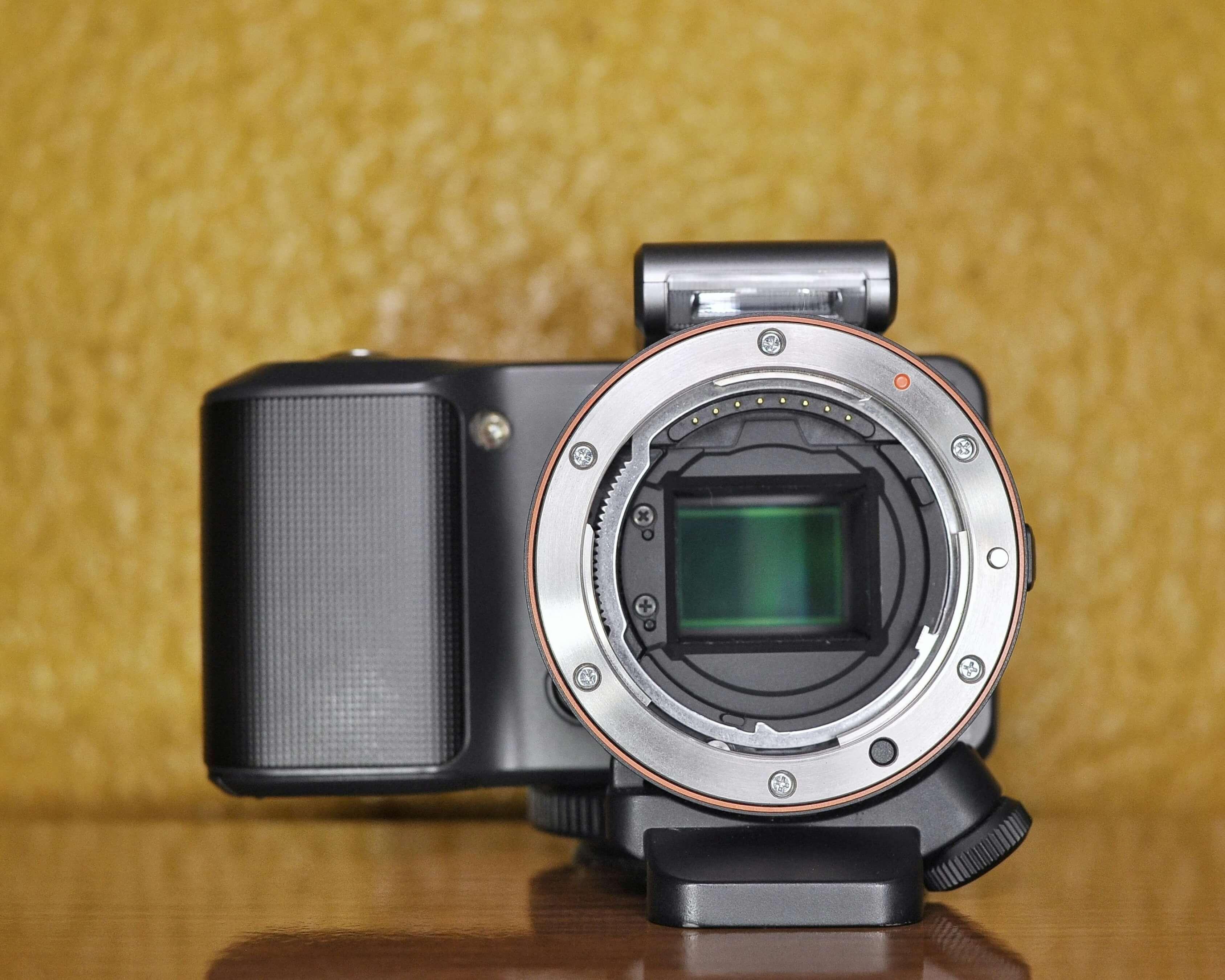 The Great Megapixel Myth: Do Bigger Sensors Matter More?